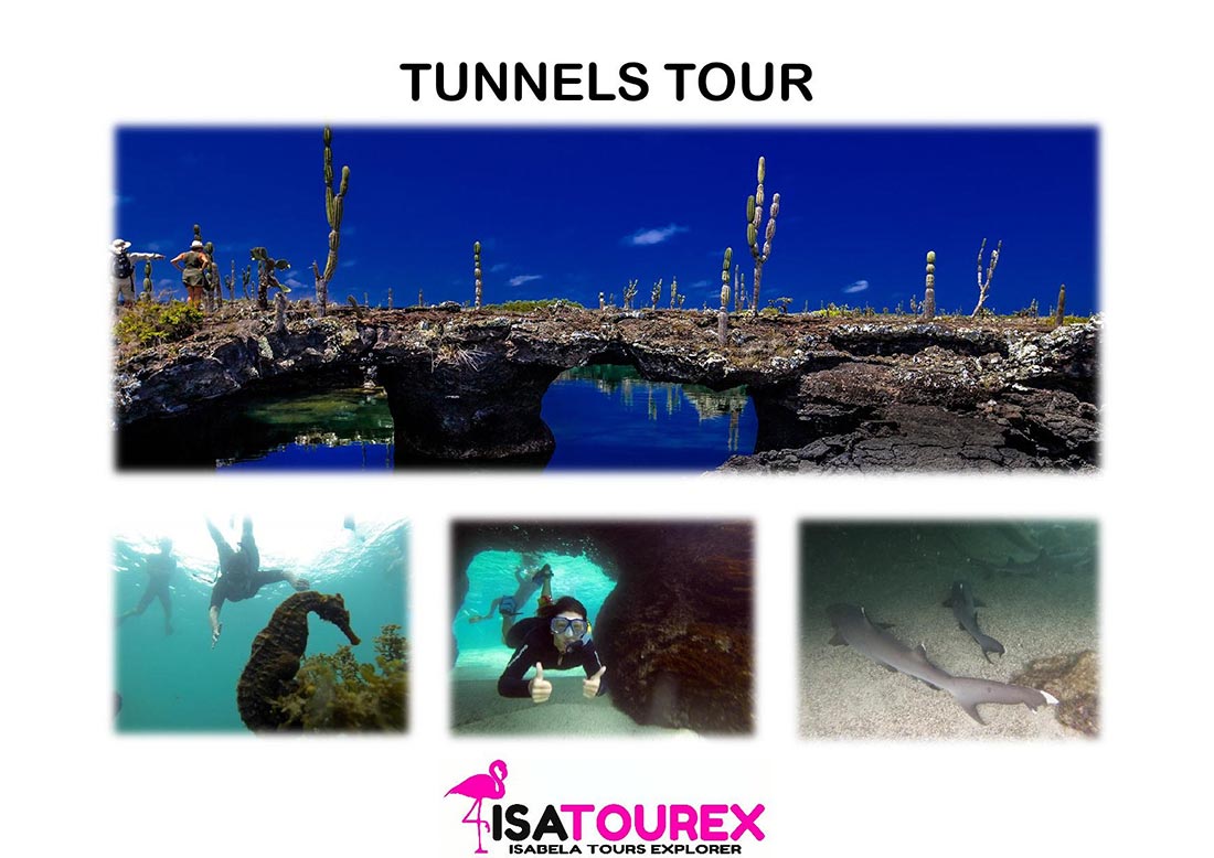 poster tuneles isatourex