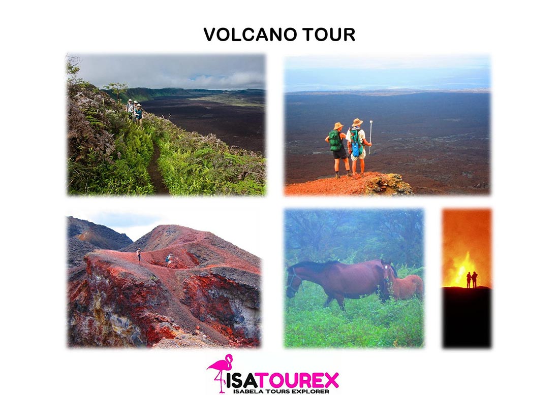 poster volcan isatourex